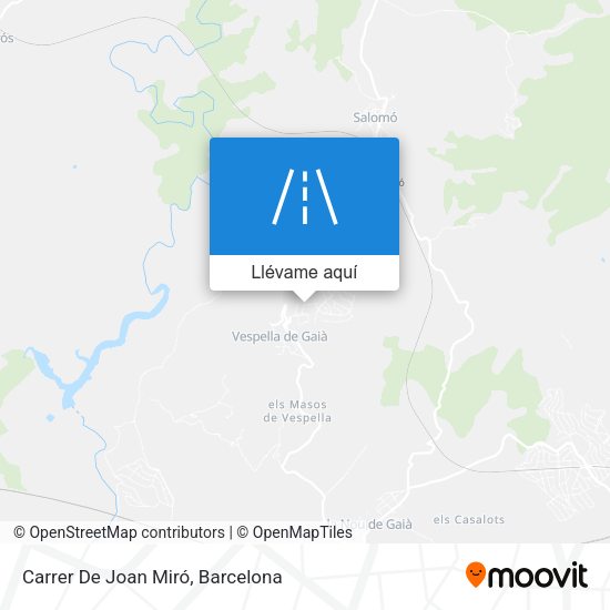 Mapa Carrer De Joan Miró