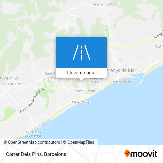 Mapa Carrer Dels Pins