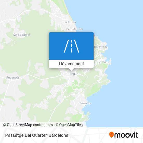 Mapa Passatge Del Quarter