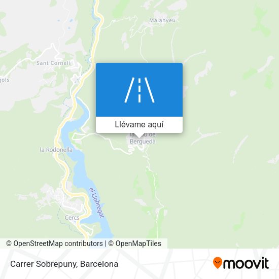 Mapa Carrer Sobrepuny