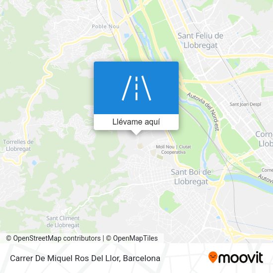 Mapa Carrer De Miquel Ros Del Llor