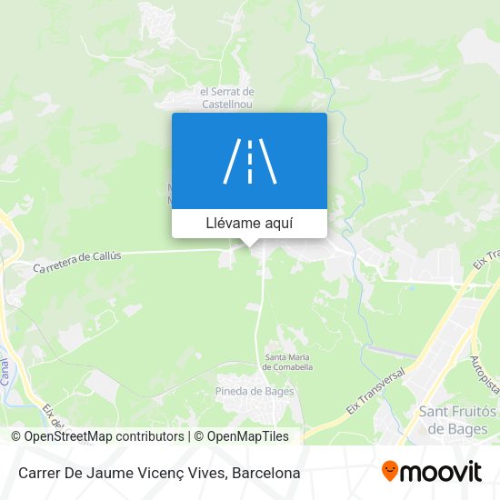 Mapa Carrer De Jaume Vicenç Vives