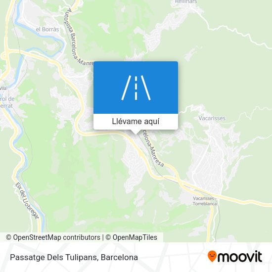 Mapa Passatge Dels Tulipans