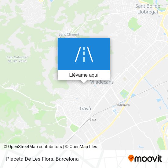 Mapa Placeta De Les Flors