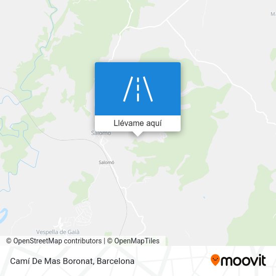 Mapa Camí De Mas Boronat