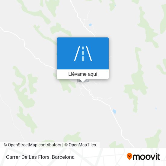 Mapa Carrer De Les Flors