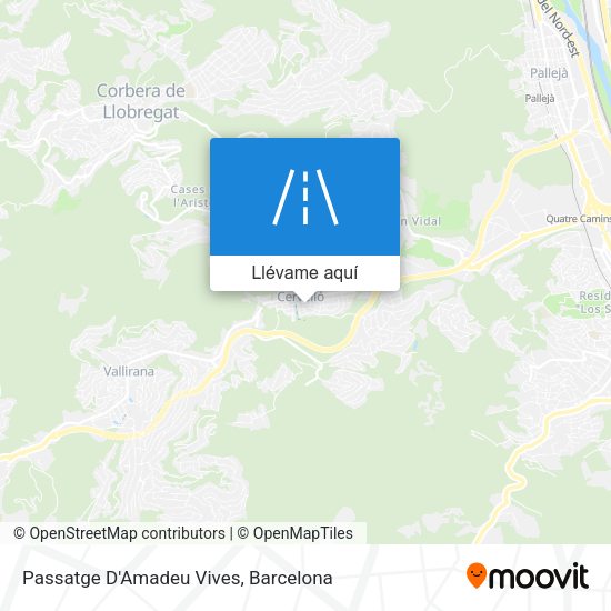 Mapa Passatge D'Amadeu Vives