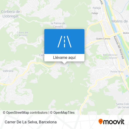 Mapa Carrer De La Selva