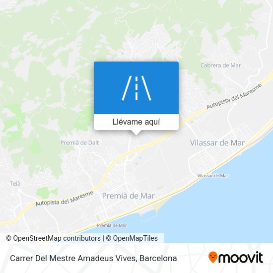 Mapa Carrer Del Mestre Amadeus Vives
