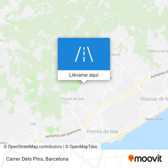 Mapa Carrer Dels Pins