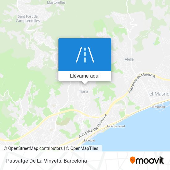Mapa Passatge De La Vinyeta