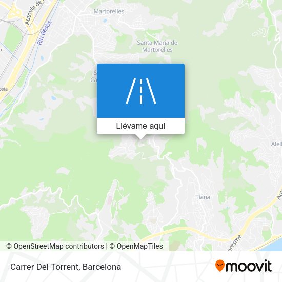 Mapa Carrer Del Torrent