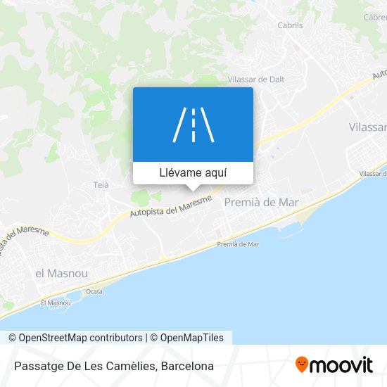 Mapa Passatge De Les Camèlies