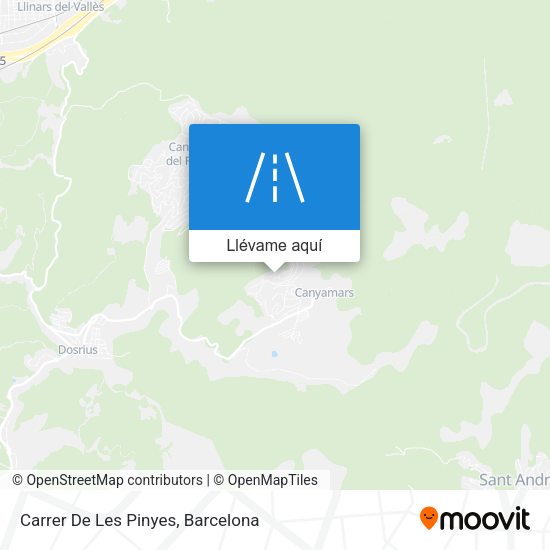 Mapa Carrer De Les Pinyes