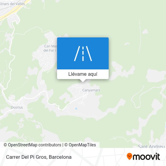 Mapa Carrer Del Pi Gros