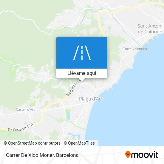 Mapa Carrer De Xico Moner
