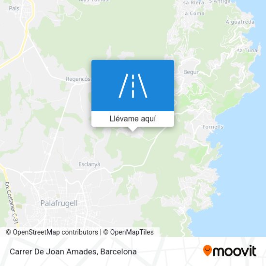 Mapa Carrer De Joan Amades