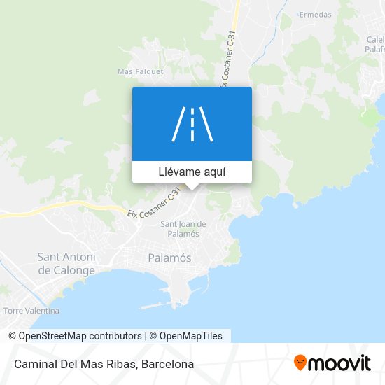 Mapa Caminal Del Mas Ribas