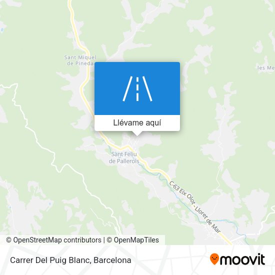 Mapa Carrer Del Puig Blanc