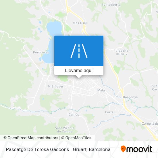 Mapa Passatge De Teresa Gascons  I Gruart