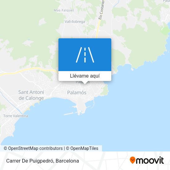 Mapa Carrer De Puigpedró