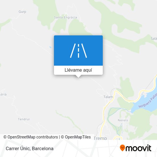Mapa Carrer Únic