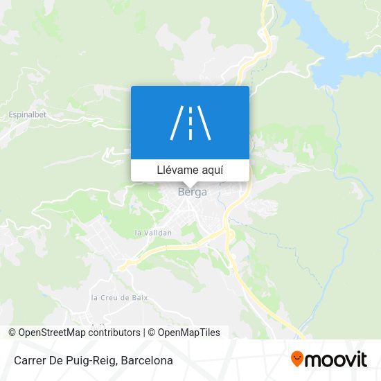 Mapa Carrer De Puig-Reig