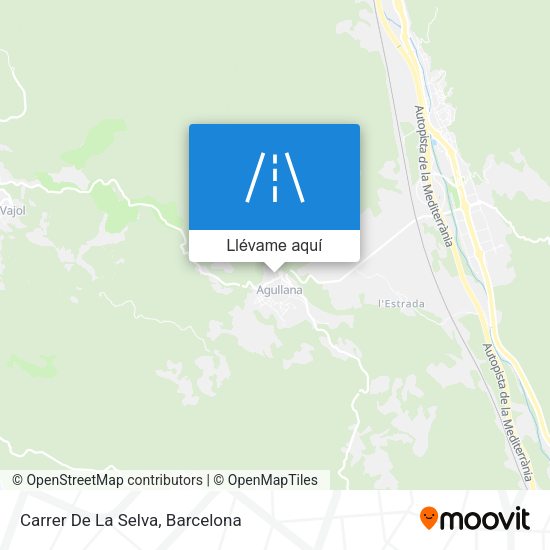 Mapa Carrer De La Selva