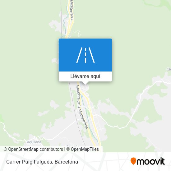 Mapa Carrer Puig Falgués