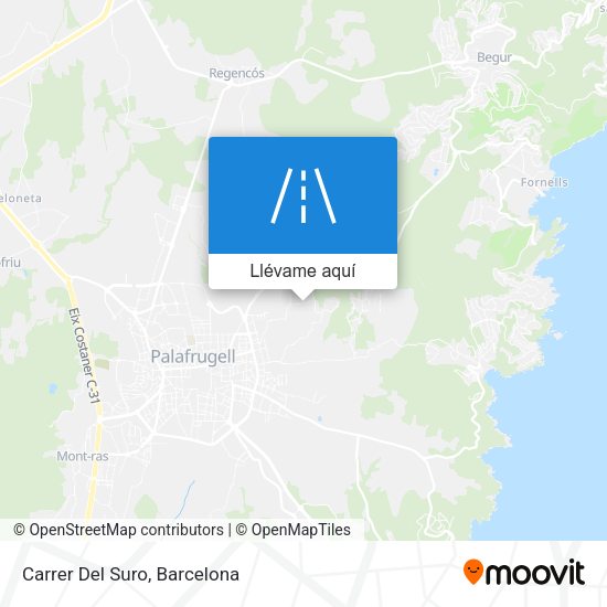 Mapa Carrer Del Suro