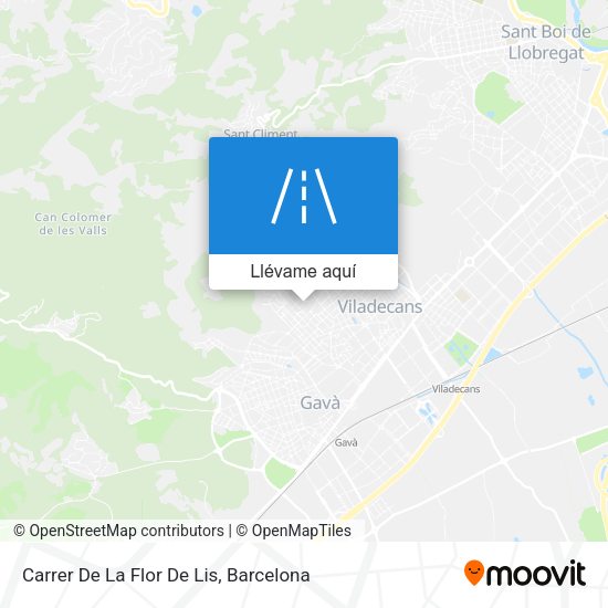 Mapa Carrer De La Flor De Lis