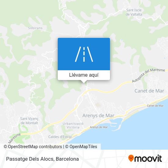 Mapa Passatge Dels Alocs