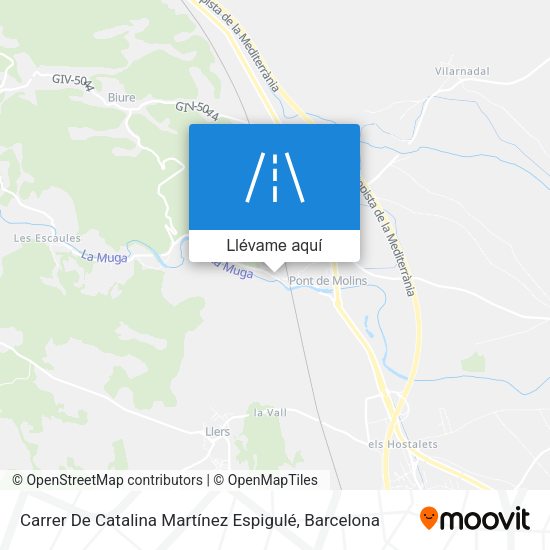 Mapa Carrer De Catalina Martínez Espigulé