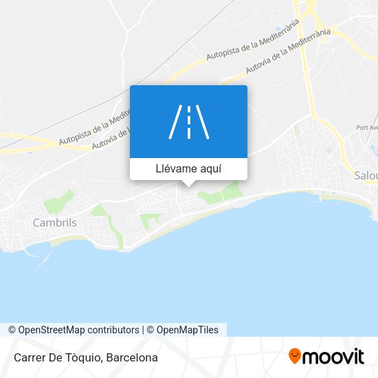 Mapa Carrer De Tòquio