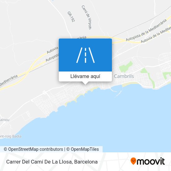 Mapa Carrer Del Camí De La Llosa