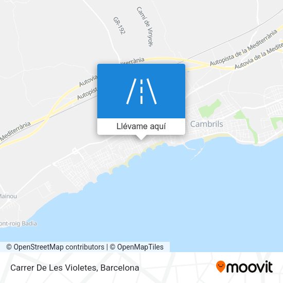 Mapa Carrer De Les Violetes