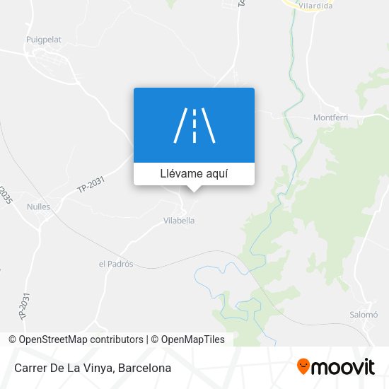 Mapa Carrer De La Vinya