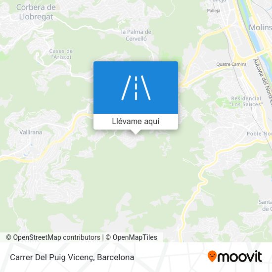 Mapa Carrer Del Puig Vicenç