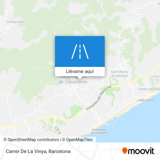 Mapa Carrer De La Vinya