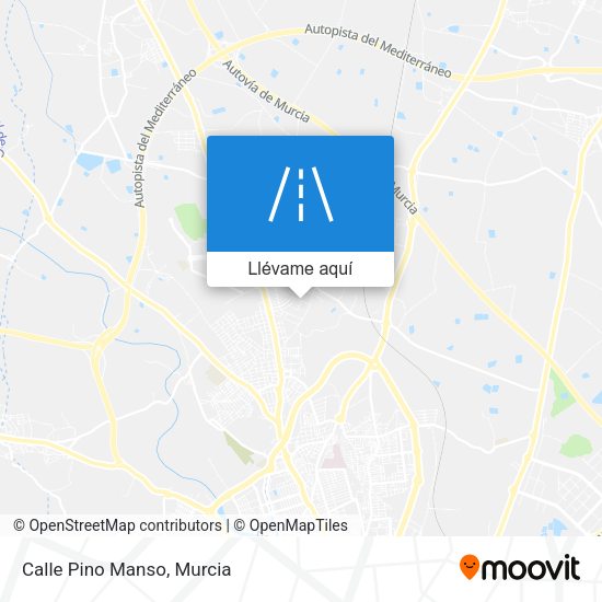 Mapa Calle Pino Manso