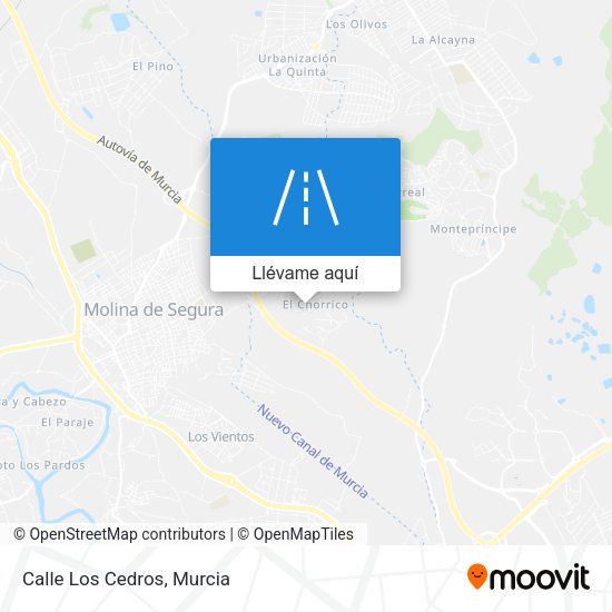Mapa Calle Los Cedros