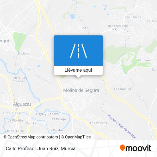 Mapa Calle Profesor Juan Ruiz