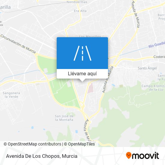 Mapa Avenida De Los Chopos