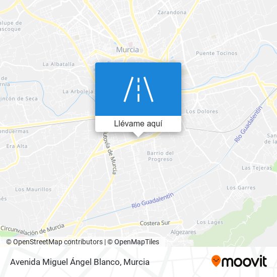 Mapa Avenida Miguel Ángel Blanco