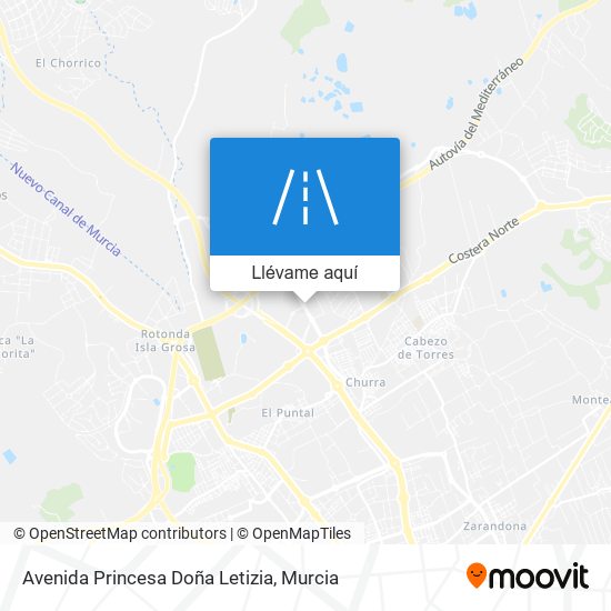 Mapa Avenida Princesa Doña Letizia