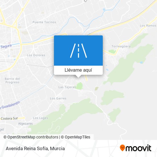 Mapa Avenida Reina Sofía