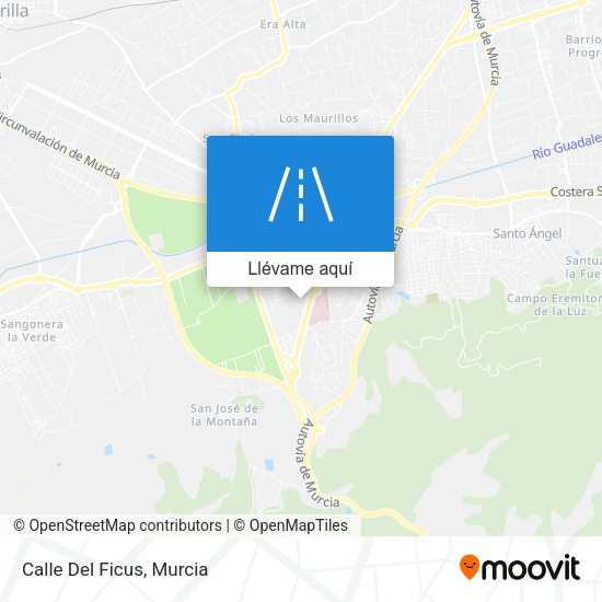 Mapa Calle Del Ficus