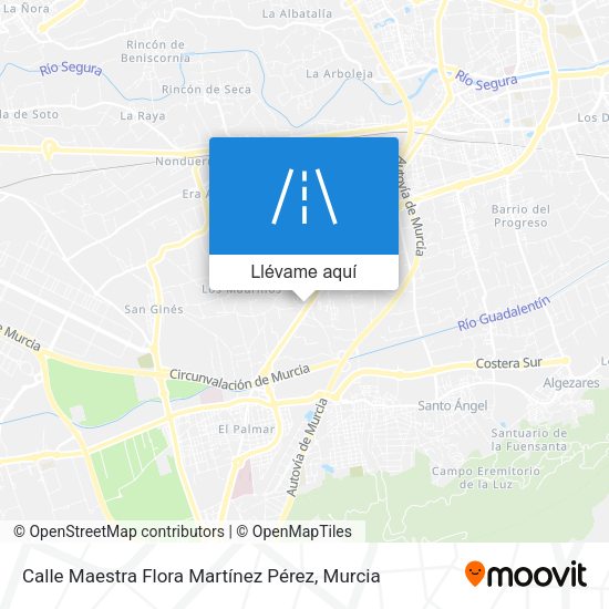 Mapa Calle Maestra Flora Martínez Pérez