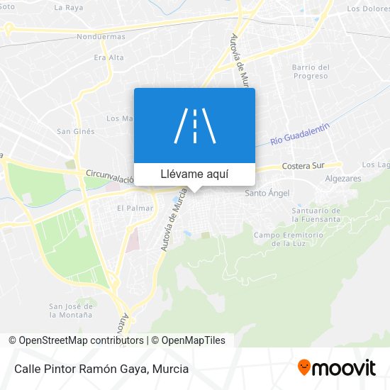 Mapa Calle Pintor Ramón Gaya