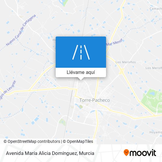 Mapa Avenida María Alicia Domínguez